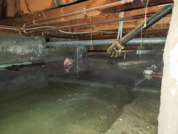 Best Water damage contractors near me  in Kellogg, ID