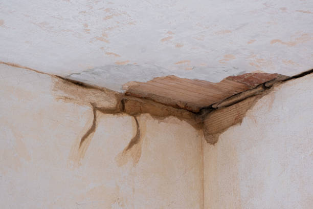 Best Flood damage cleanup  in Kellogg, ID
