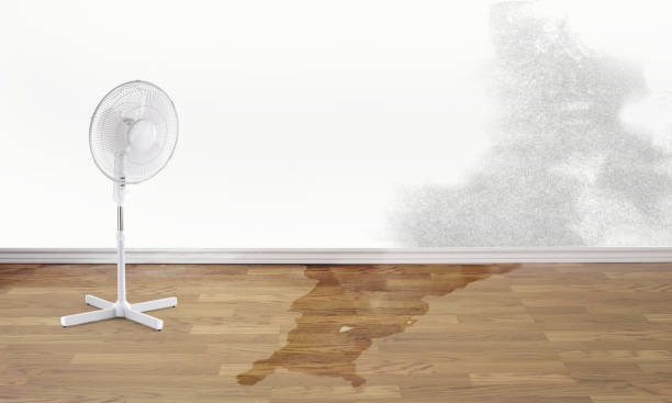Best 24/7 water damage repair  in Kellogg, ID