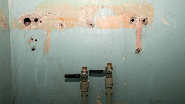Best Basement water damage restoration  in Kellogg, ID