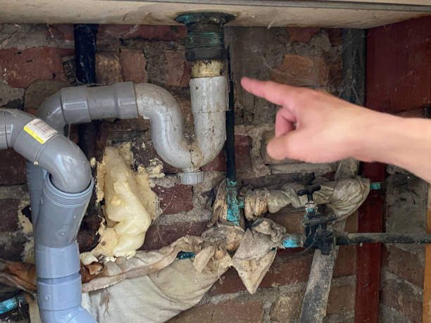 Best Water damage restoration mold remediation  in Kellogg, ID